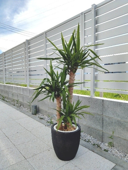 ユッカ  7号【店頭受取】