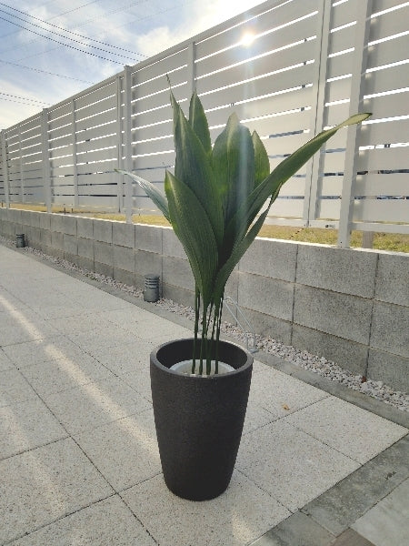 旭ハラン 6号【店頭受取】