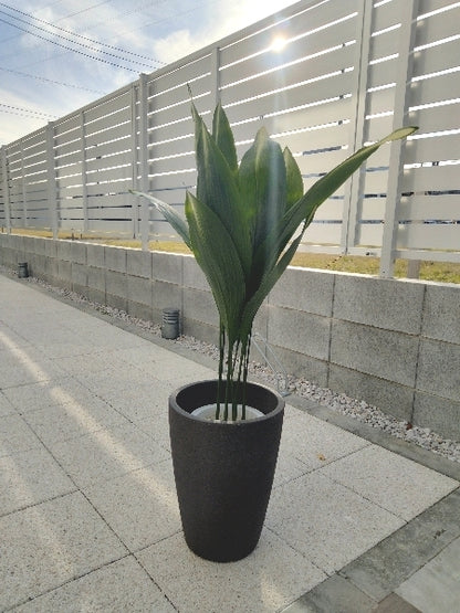 旭ハラン 6号【店頭受取】